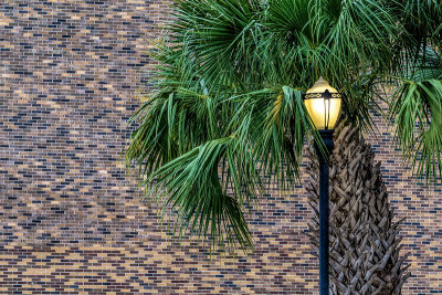 Palm Lampost and Bricks.jpg