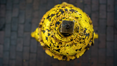 Yellow Hydrant.jpg