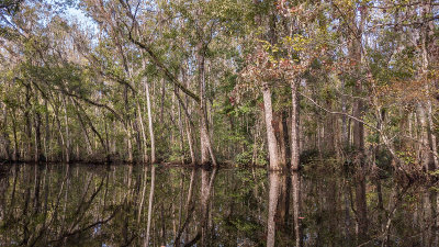 Governors Creek 1