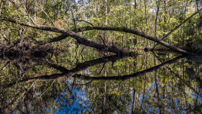 Governors Creek 2