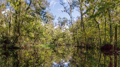 Governors Creek 3
