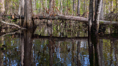 Governors Creek 6