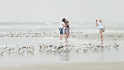 Family Shot with Gulls