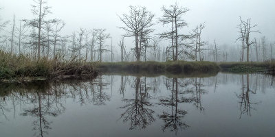 Goodbys Lake in Fog 1