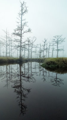 Goodbys Lake in Fog 11