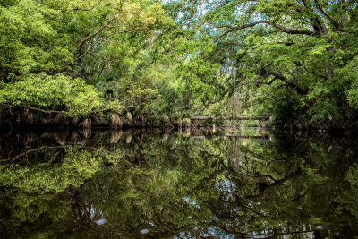 McCoy Creek