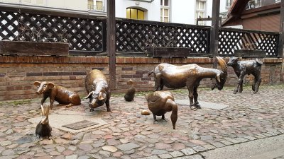 wroclaw (22).jpg