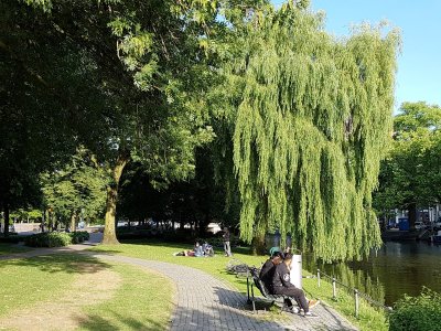 amsterdam (23).jpg