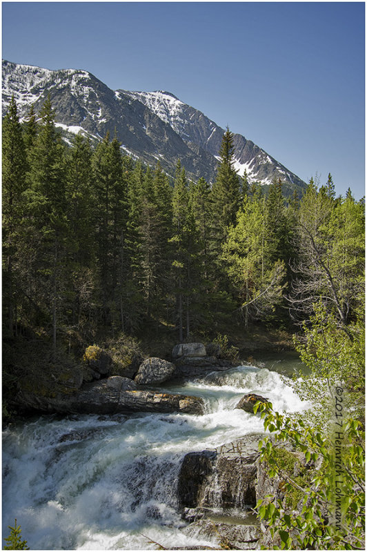 K315438-Waterton Lakes National Park.jpg