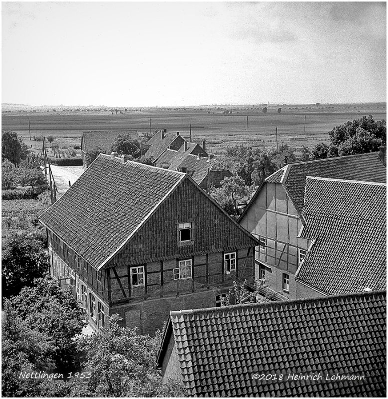 Nettlingen 4.jpg