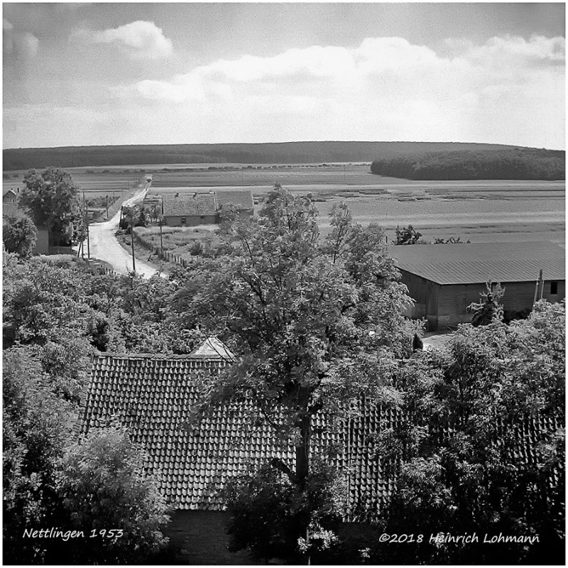 Nettlingen 5.jpg