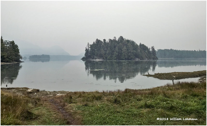 021Tofino2018.jpg