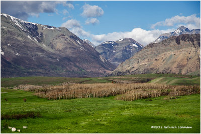 K319309-Waterton Lakes National Park.jpg