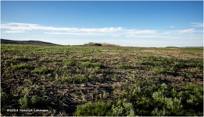 K319557-Ranchland.jpg