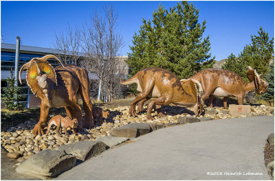 Royal Tyrrell Museum