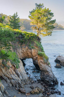 San Simeon Arch (Up to 16X24)