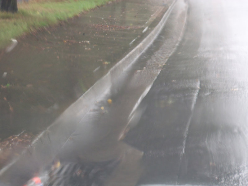 Wet Wet Wet