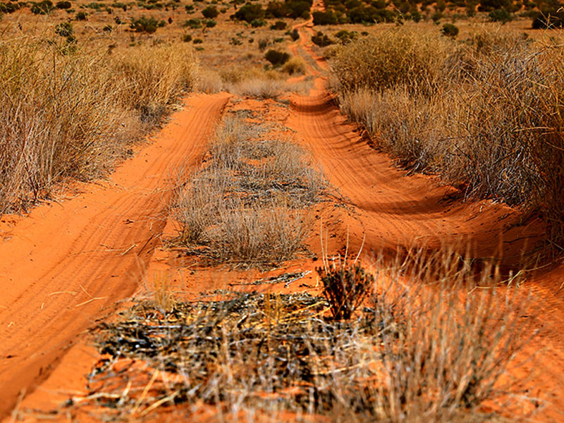 Simpson Desert 2<br/><h4>*Credit*</h4>