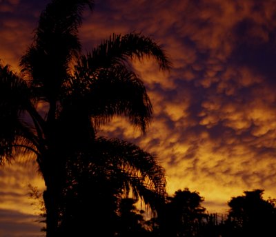 Approaching storm