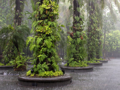 Downpour in Singapore