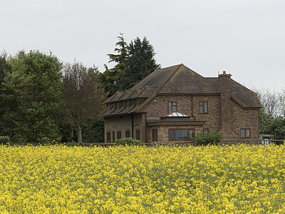 Home in Canola