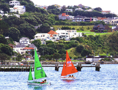 Windy Wellington