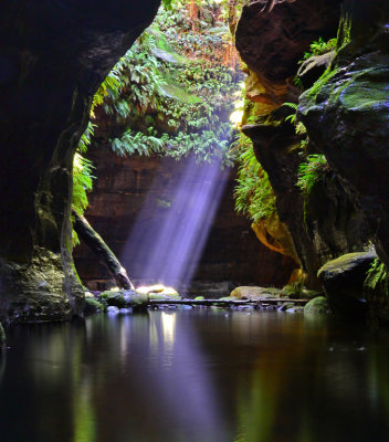 Rocky Creek Canyon 1b*Merit*