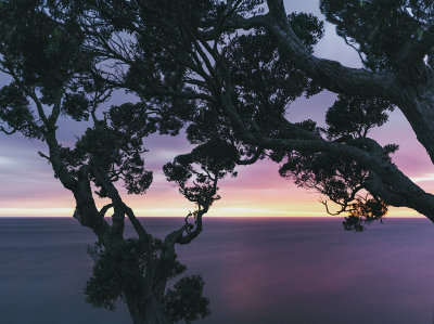Twilight  the Pa Hahei*Merit*