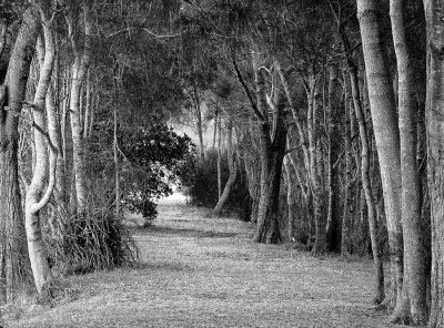Avenue*Credit*