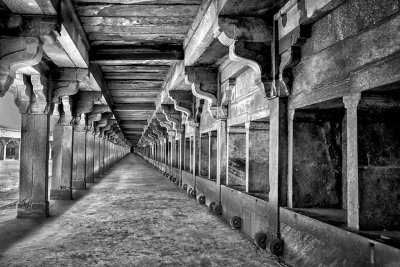 Camel Stables*Merit*