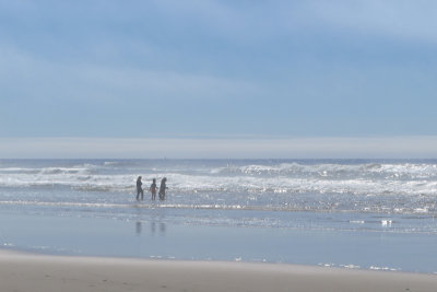 Heceta Beach