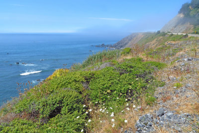 Oregon Coast just south of Port Orford