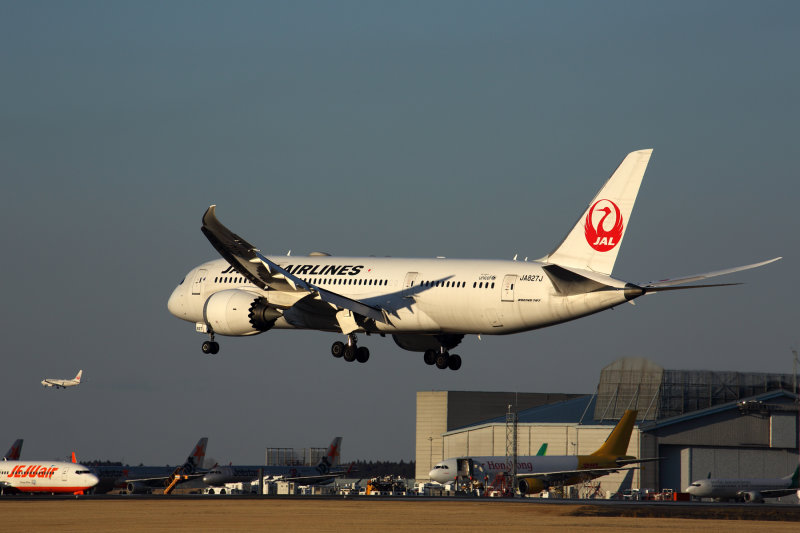 JAPAN AIRLINES BOEING 787 8 NRT RF 5K5A6693.jpg