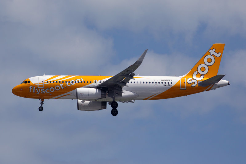 SCOOT AIRBUS A320 SIN RF 5K5A8127.jpg