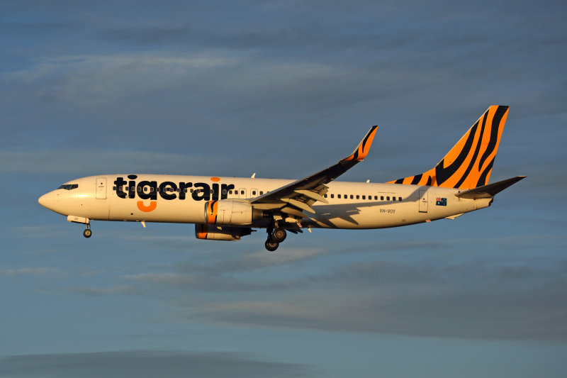 TIGERAIR BOEING 737 800 MEL RF 5K5A9008.jpg