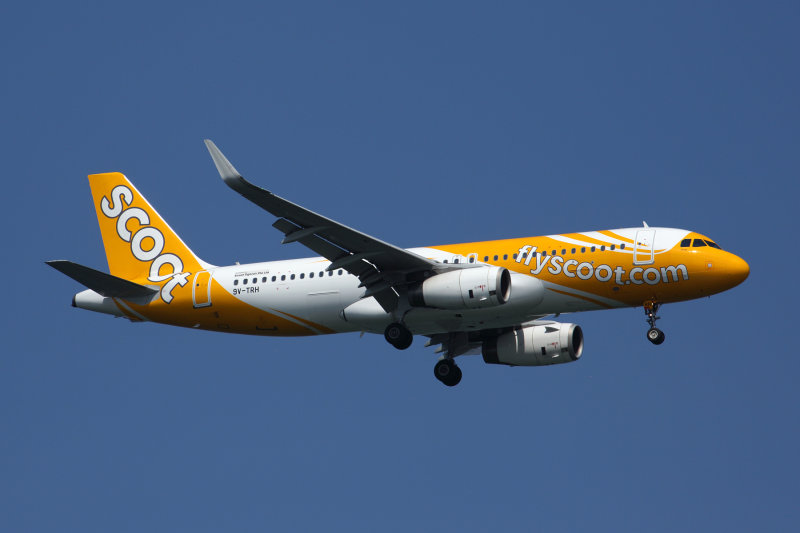 SCOOT_AIRBUS_A320_SIN_RF_5K5A3485.jpg