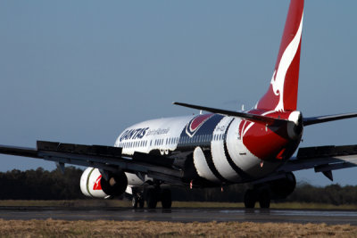 QANTAS BOEING 737 800 BNE RF IMG_2728.jpg