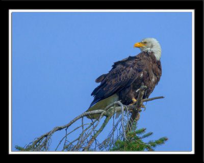 _DSC2678-2-18.jpg