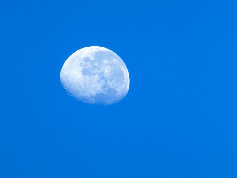  The Moon is Blue