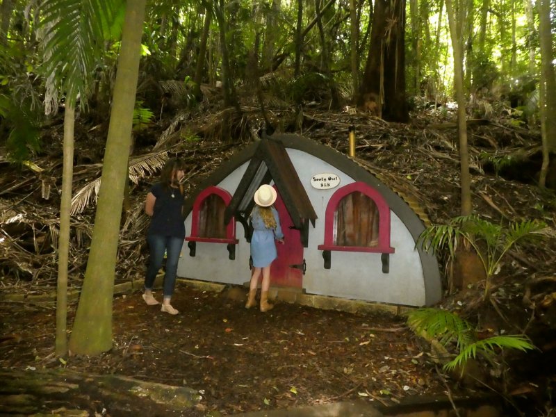 Sooty Owls B&B