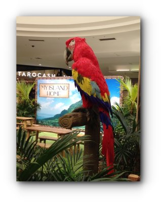 A Bird