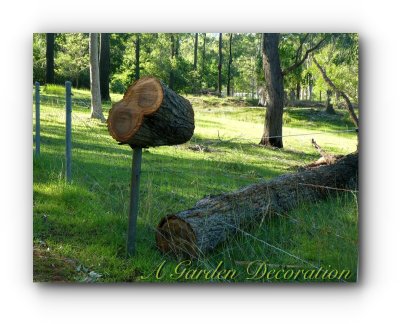 A Garden Decoration