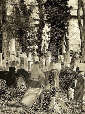 Old Jewish Cemetery ~ Krakow