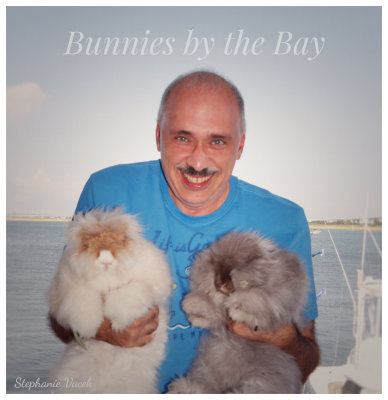 Bunnies by the Bay