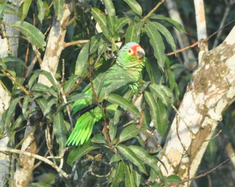 DSC_0105b.JPG