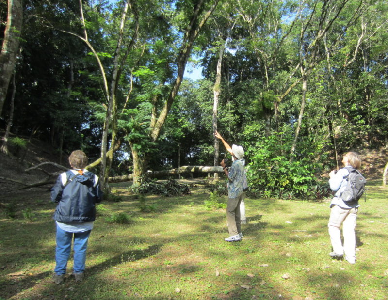 IMG_6500b.JPG