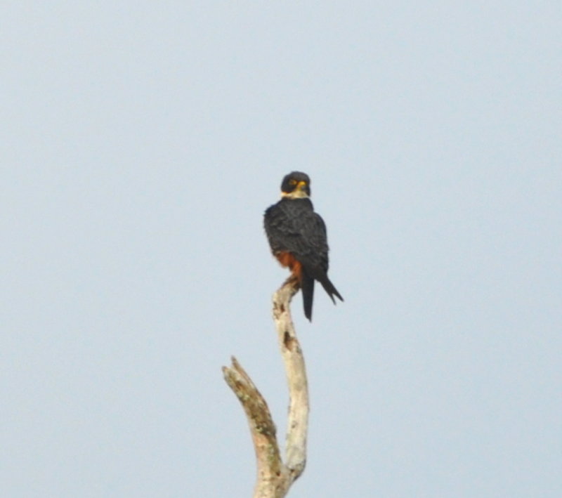 DSC_0107b.JPG