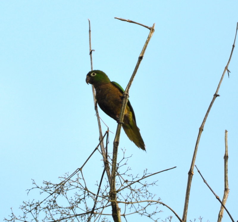 DSC_0210b.JPG