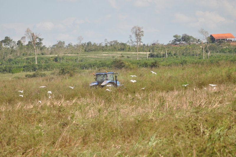 DSC_0553b.JPG