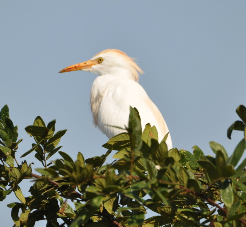DSC_0570b.JPG